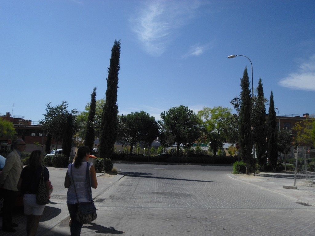 FOTOS PISOS VILLA DE VALLECAS 048
