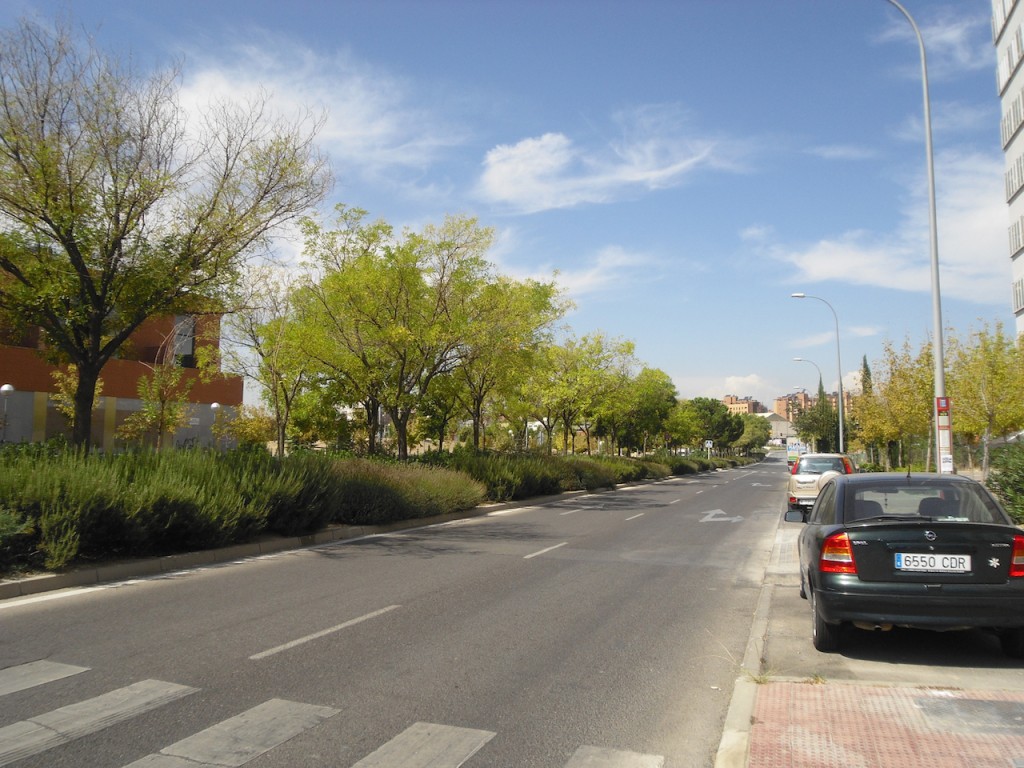 FOTOS PISOS VILLA DE VALLECAS 050