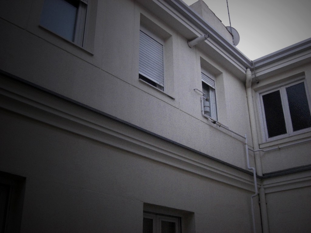 Reina, 17 - Patio 01