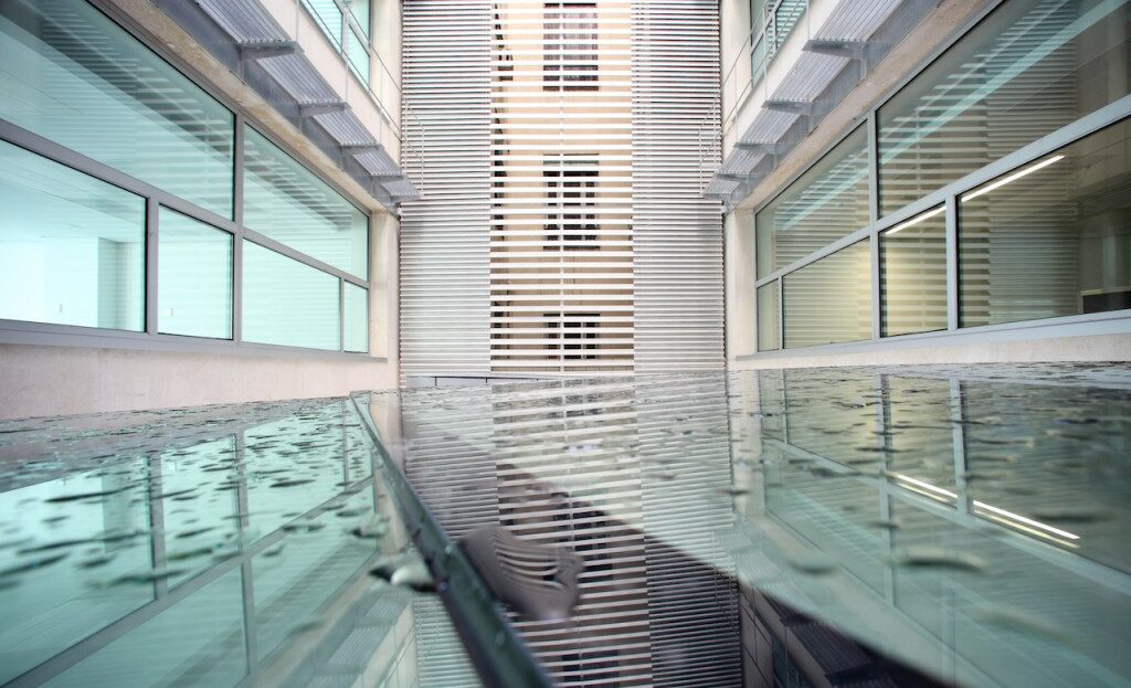 alquiler de oficinas en Madrid